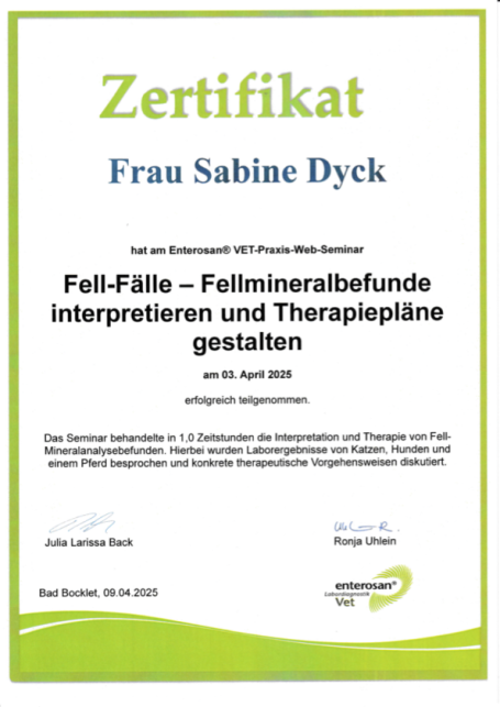 Fortbildung