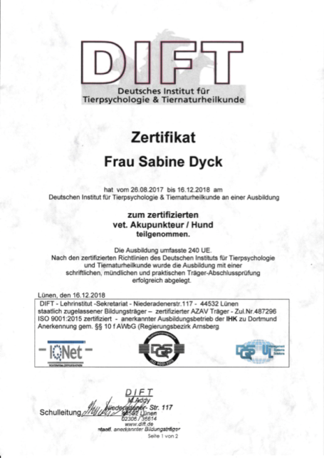 Ausbildung