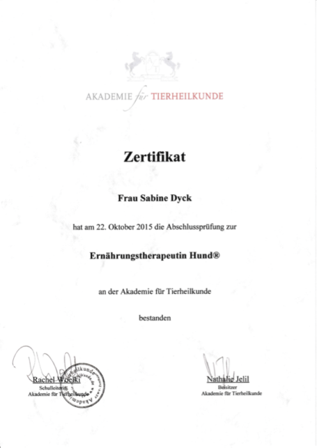 Ausbildung