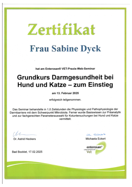 Fortbildung